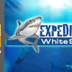 Illustration for article titled Expedition White Shark: Tracking the Beast of the Deep